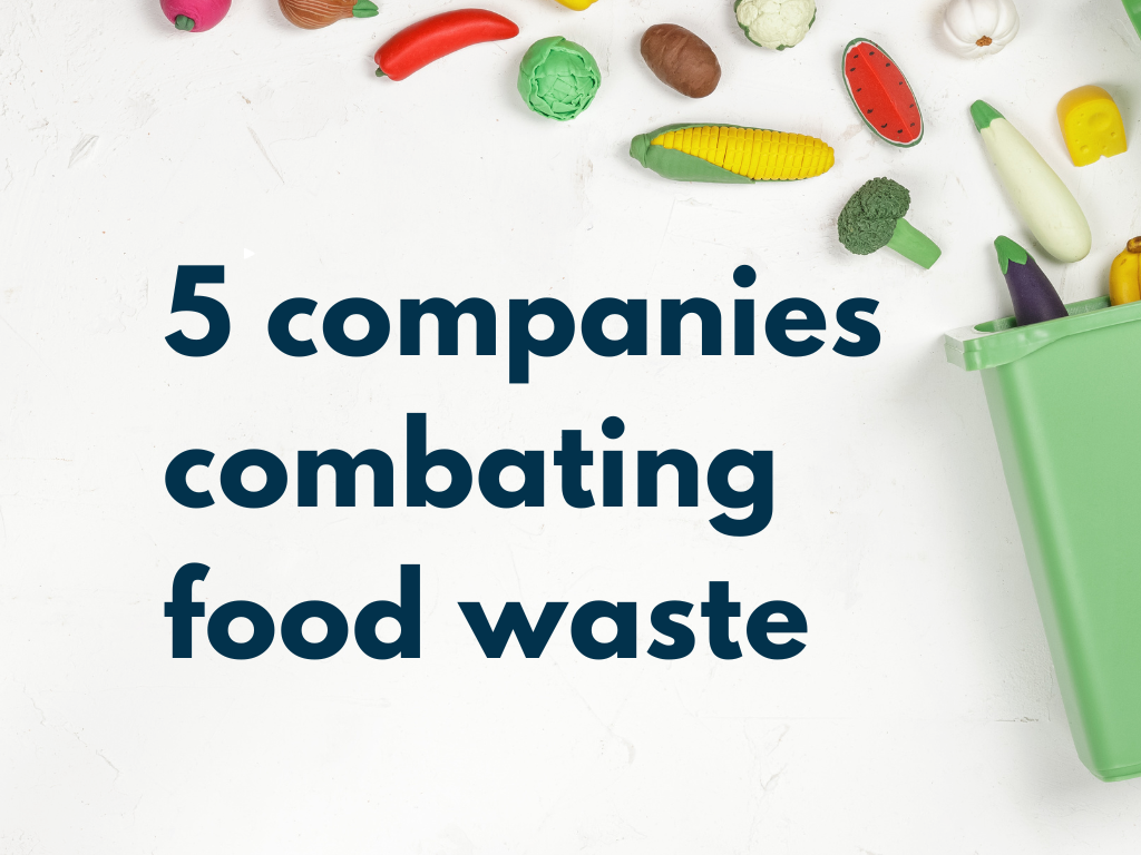 <a href='https://www.searchability.com/5-companies-combating-food-waste/'>5 companies combating food waste</a>